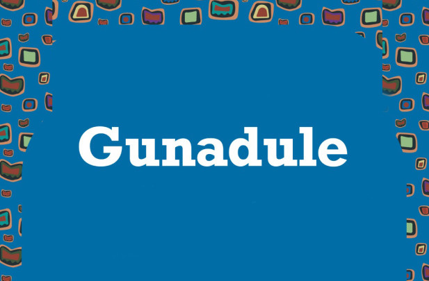 Gunadule. Mujeres, cartografías textiles y saberes territoriales