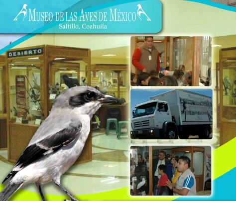 Aves de México