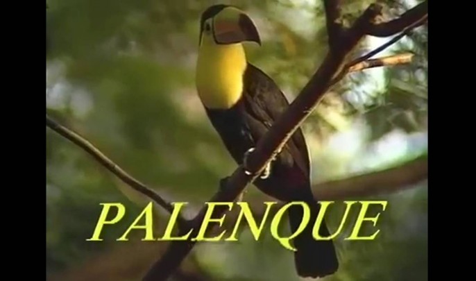 Palenque_lo_que_es_fue_y_sera_1994