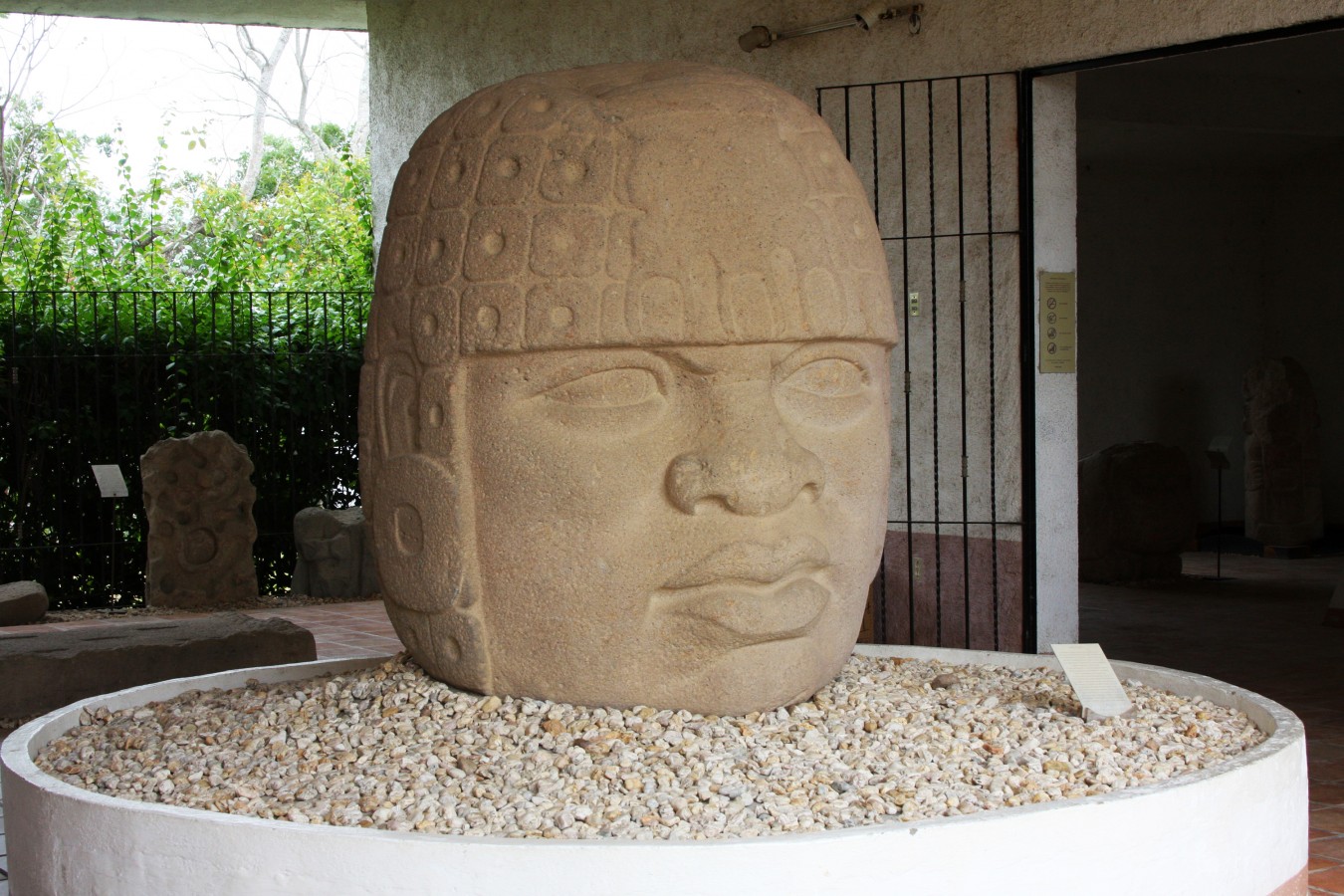 Cabeza Olmeca en el Museo San Lorenzo Tenochtitlan