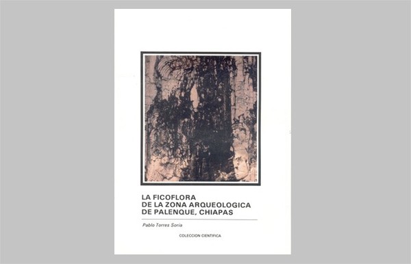 La ficoflora de la zona arqueológica de Palenque, Chiapas
