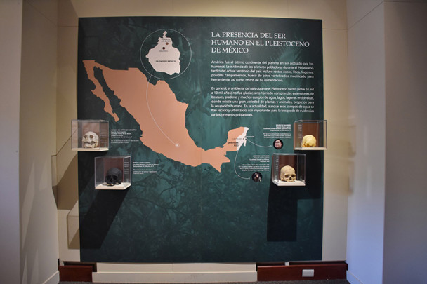 El INAH y la paleontología mexicana