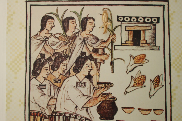 Los hijos del maíz. Origen, domesticación y culto al maíz en el México Prehispánico