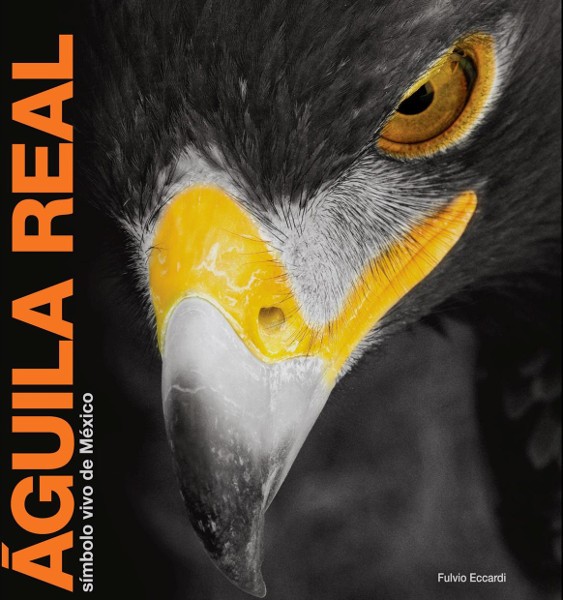 Águila Real, Símbolo vivo de México