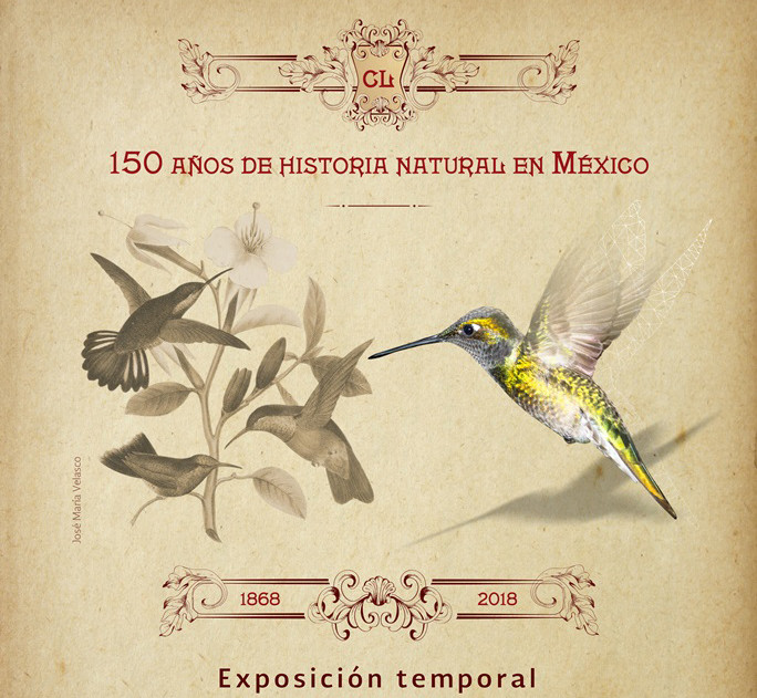150 años de historia natural en México