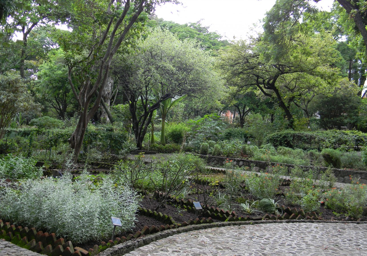 Exhibición del Jardín Etnobotánico