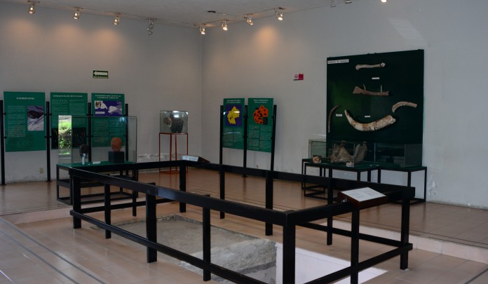Exhibición permanente del Museo Prehistórico de Tepexpan
