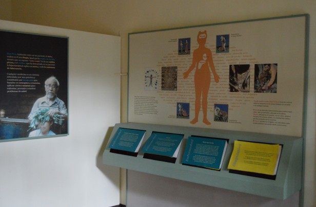 Exhibición permanente del Museo de la Medicina Tradicional y Herbolaria