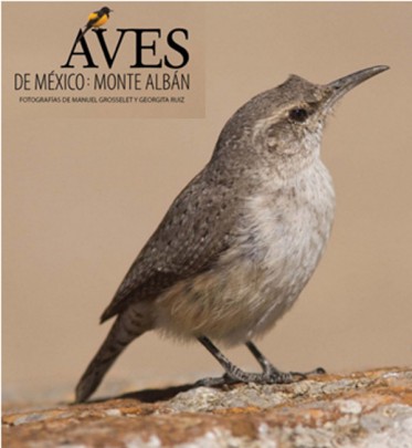 Aves de México: Monte Albán