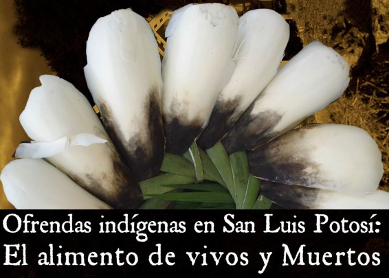 Ofrendas indígenas en San Luis Potosí. El alimento de vivos y muertos.