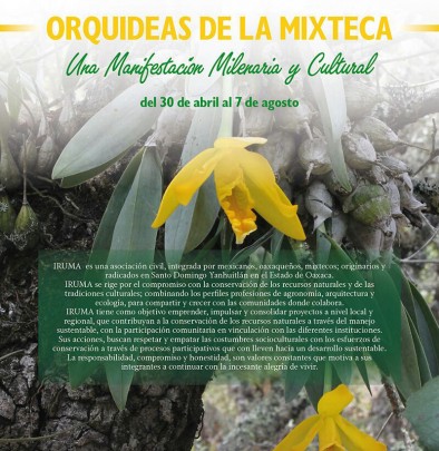 Orquídeas de la Mixteca. Una manifestación milenaria y cultural