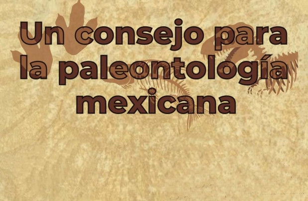Un consejo para la paleontología mexicana