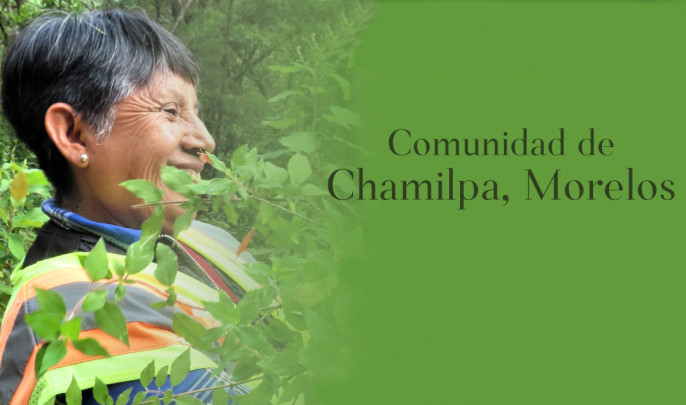 Comunidad de Chamilpa, Morelos