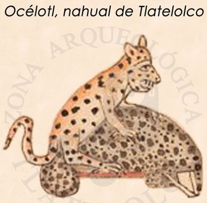 Océlotl, nahual de Tlatelolco