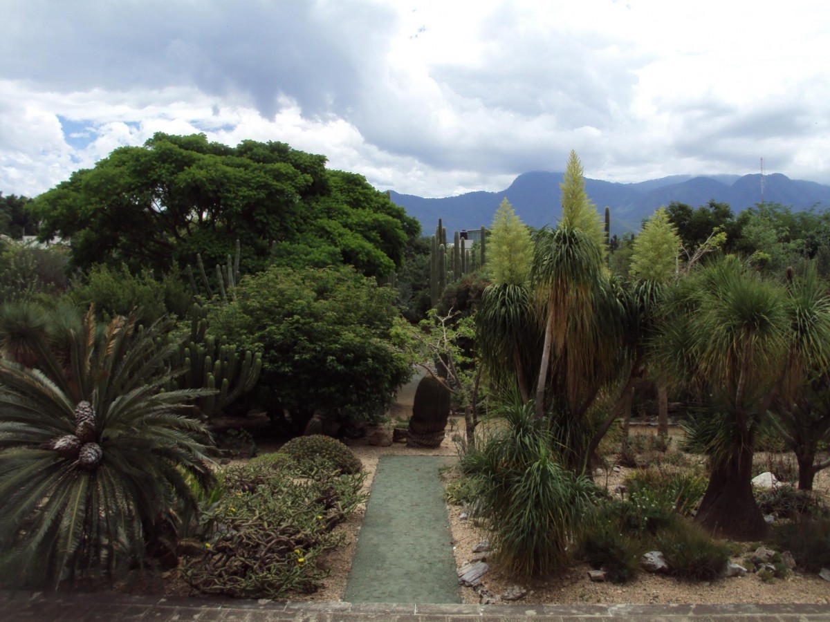 Jardín Histórico Etnobotánico de Oaxaca