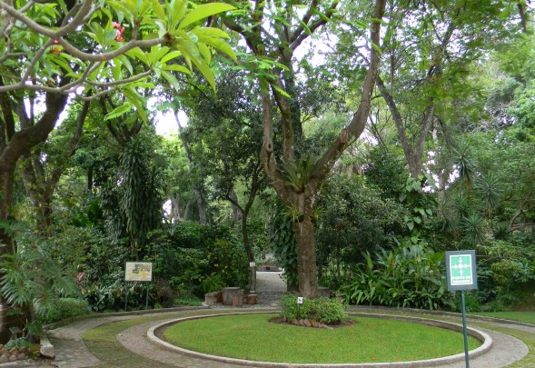 El Jardín Etnobotánico del INAH