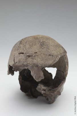 Cráneo del hombre de San Vicente Chicoloapan