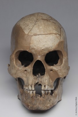 Cráneo de la Cueva del Tecolote