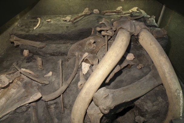 Mamut de Santa Isabel Ixtapan II