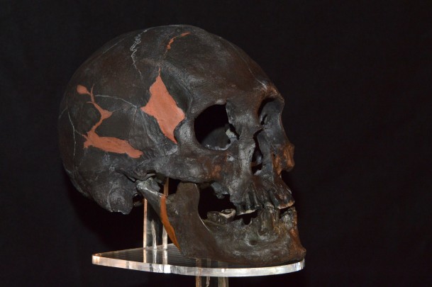 Cráneo del Hombre de Chimalhuacán