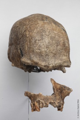 Homo sapiens temprano Laetoli H18. Tanzania, África (Reproducción)