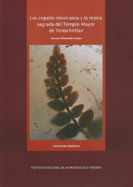 Los copales mexicanos y la resina sagrada del Templo Mayor de Tenochtitlan