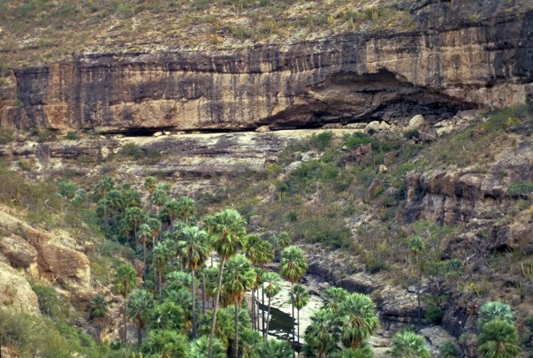 Cueva La Pintada