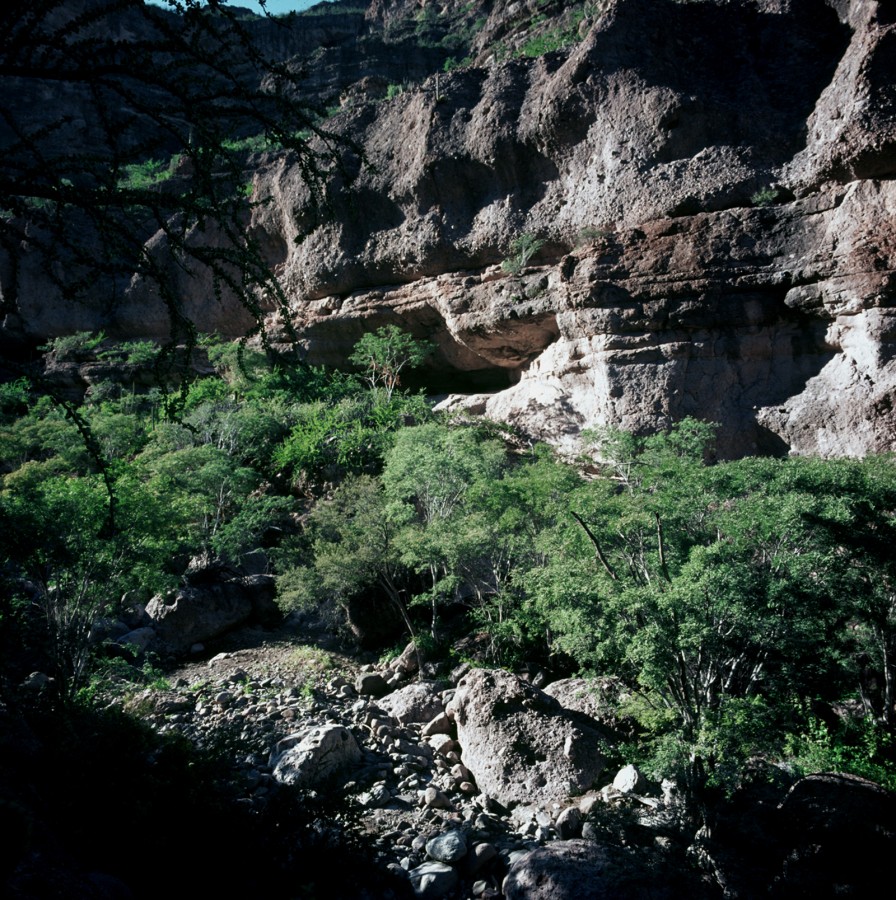 Panorámica de la Cueva Boca de San Julio
