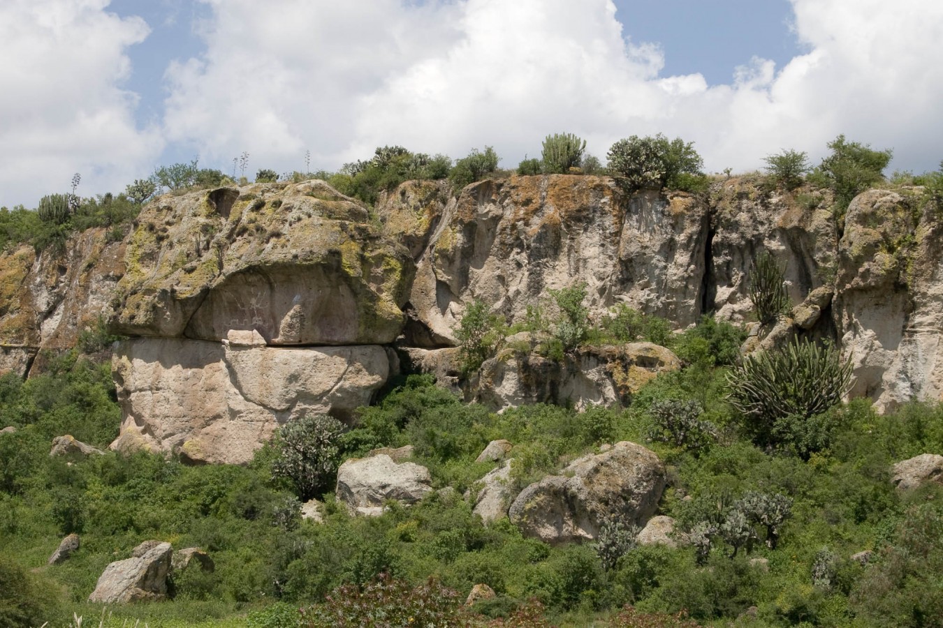 Cuevas de Mitla y Yagul