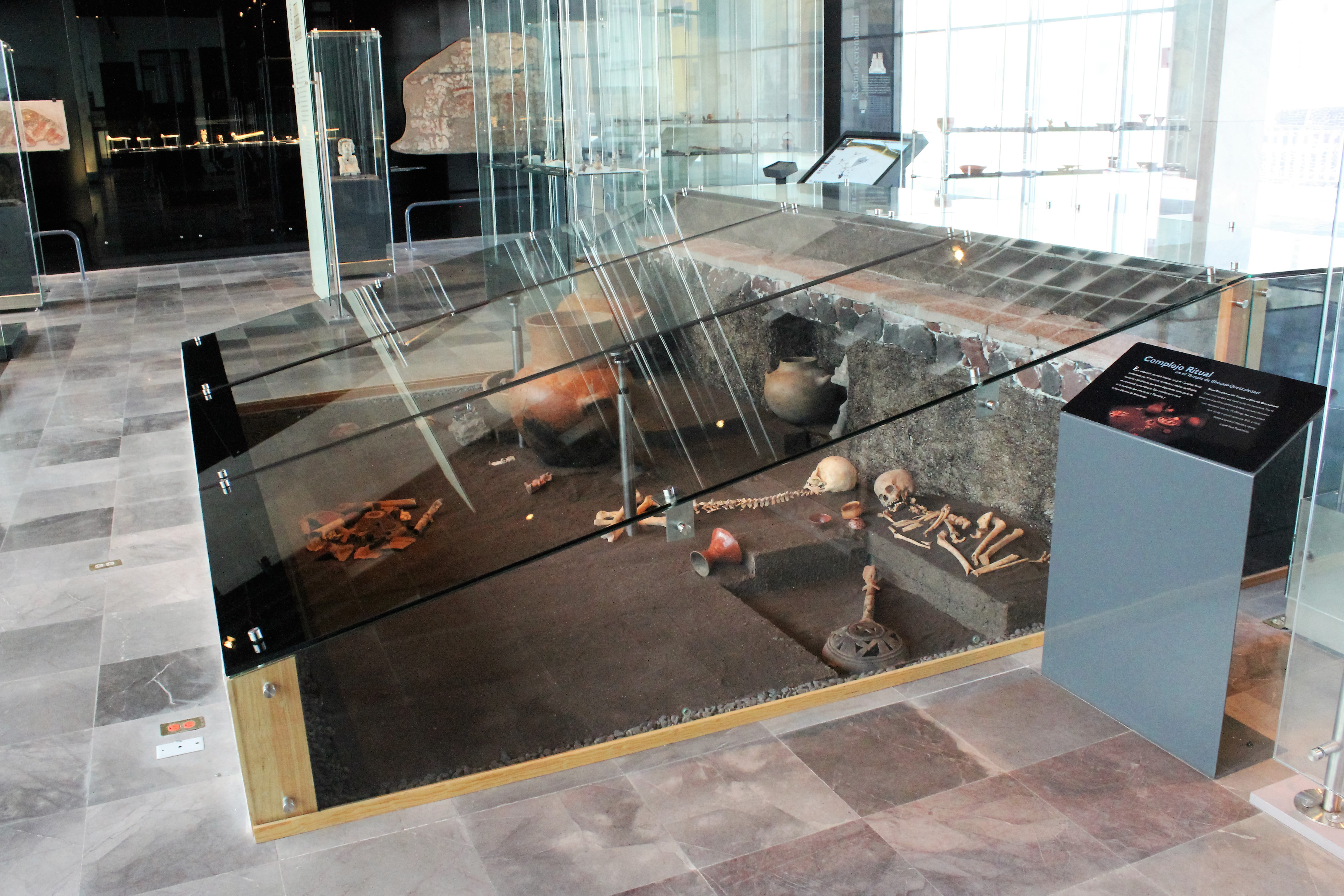 Vista de la exhibición de entierros prehispánicos en Museo de Sitio INAH – UNAM