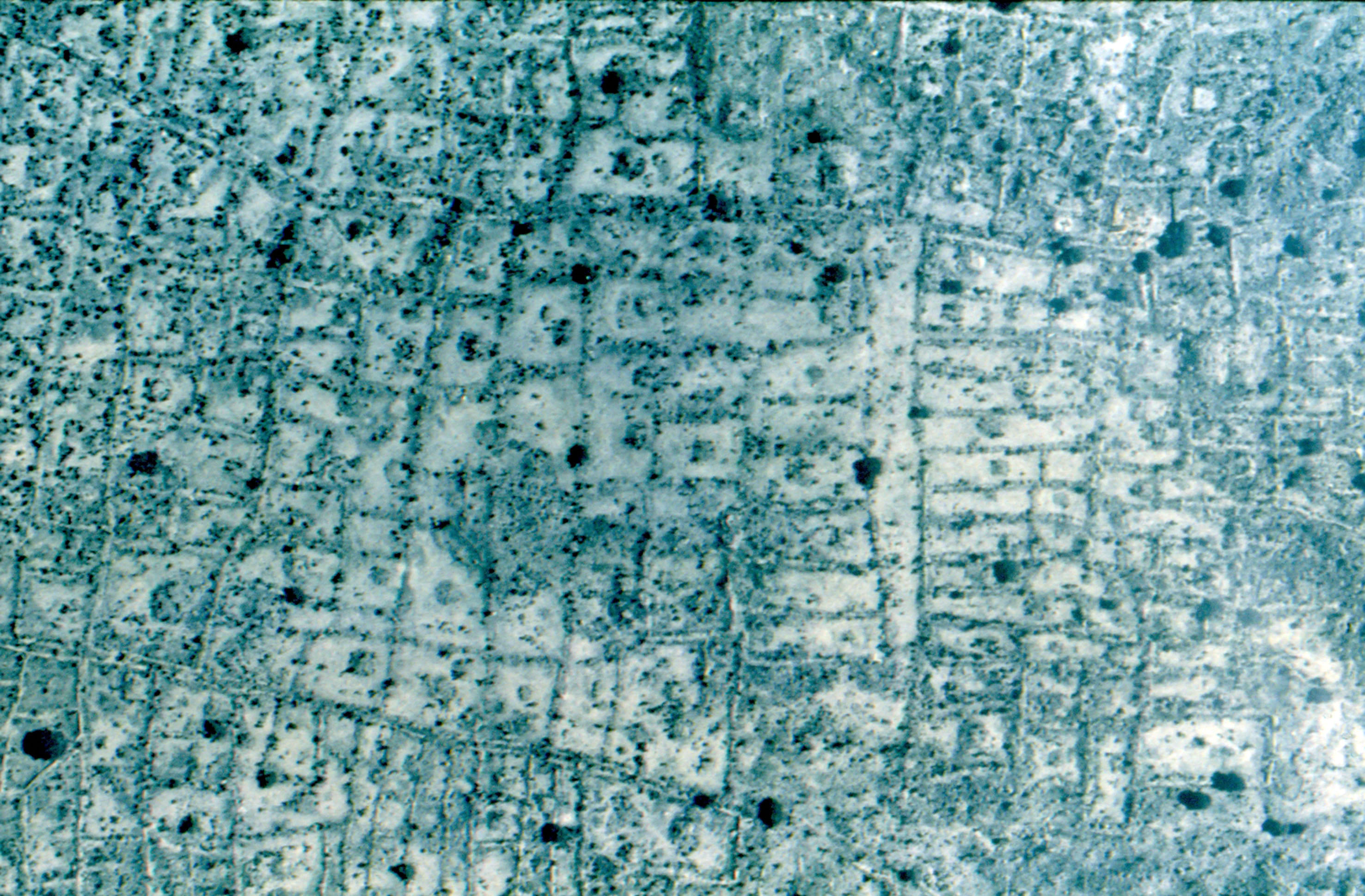 Aerial view of a small section of the residential area on the southwest side of Cantona