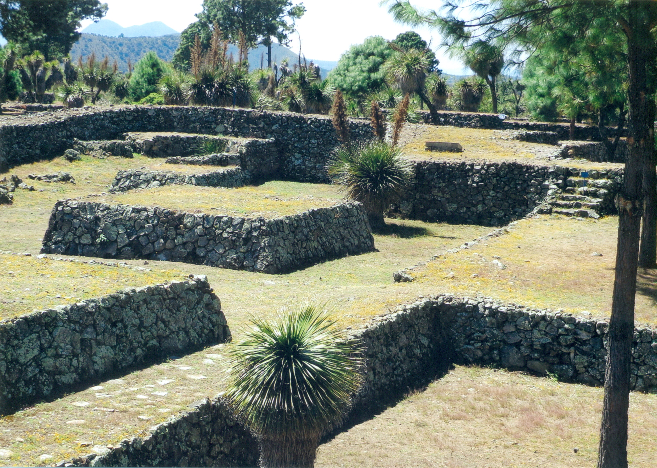 Partial view of Residential Unit 13; in the background, the remains of a temazcal