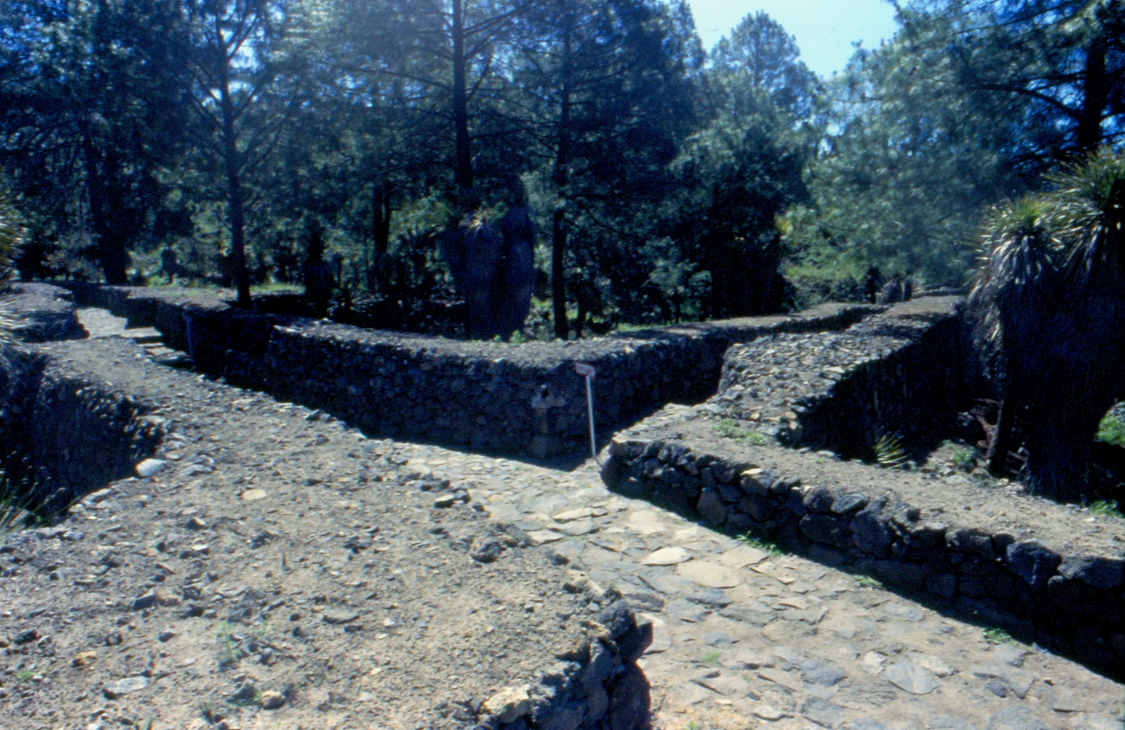 Street junction in the southwest of Cantona
