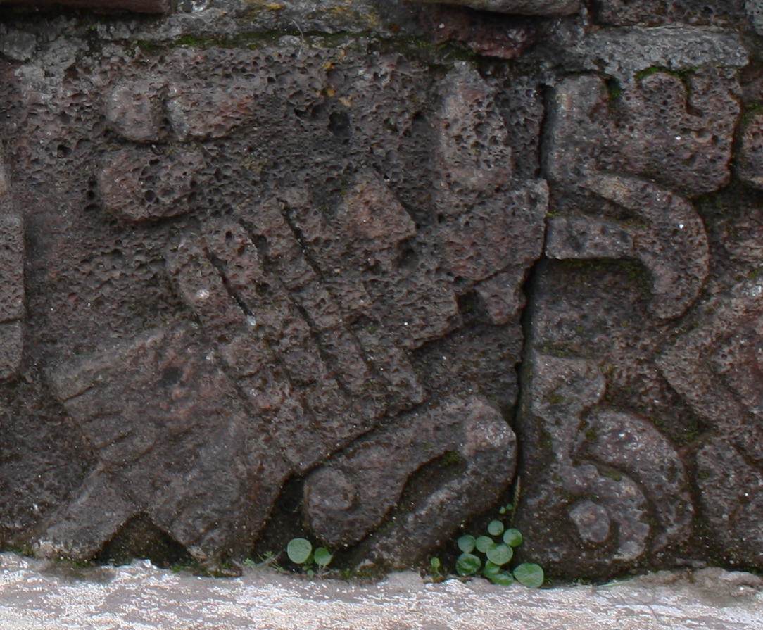 Sign 7