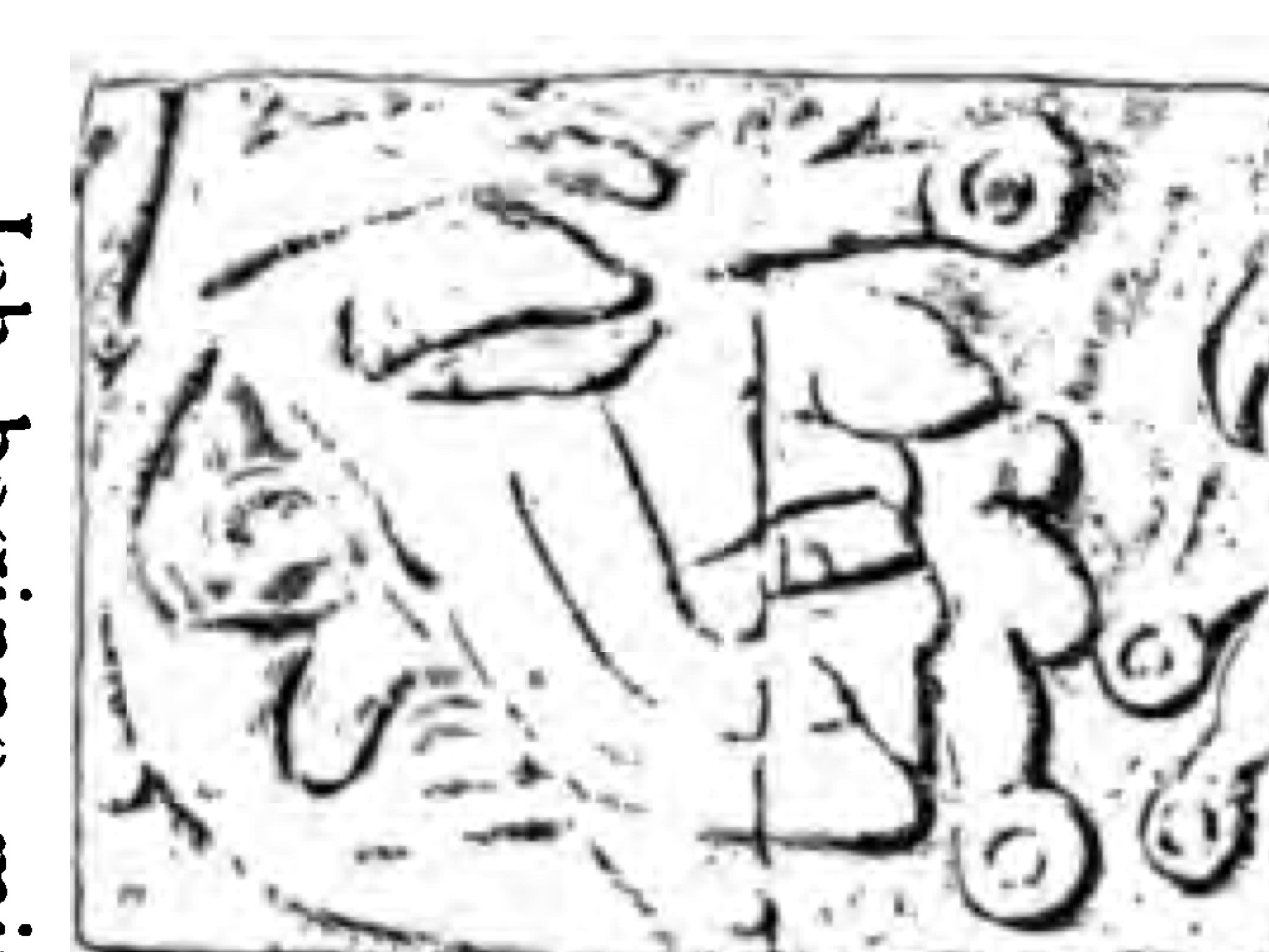 Signo 14 (dibujo)