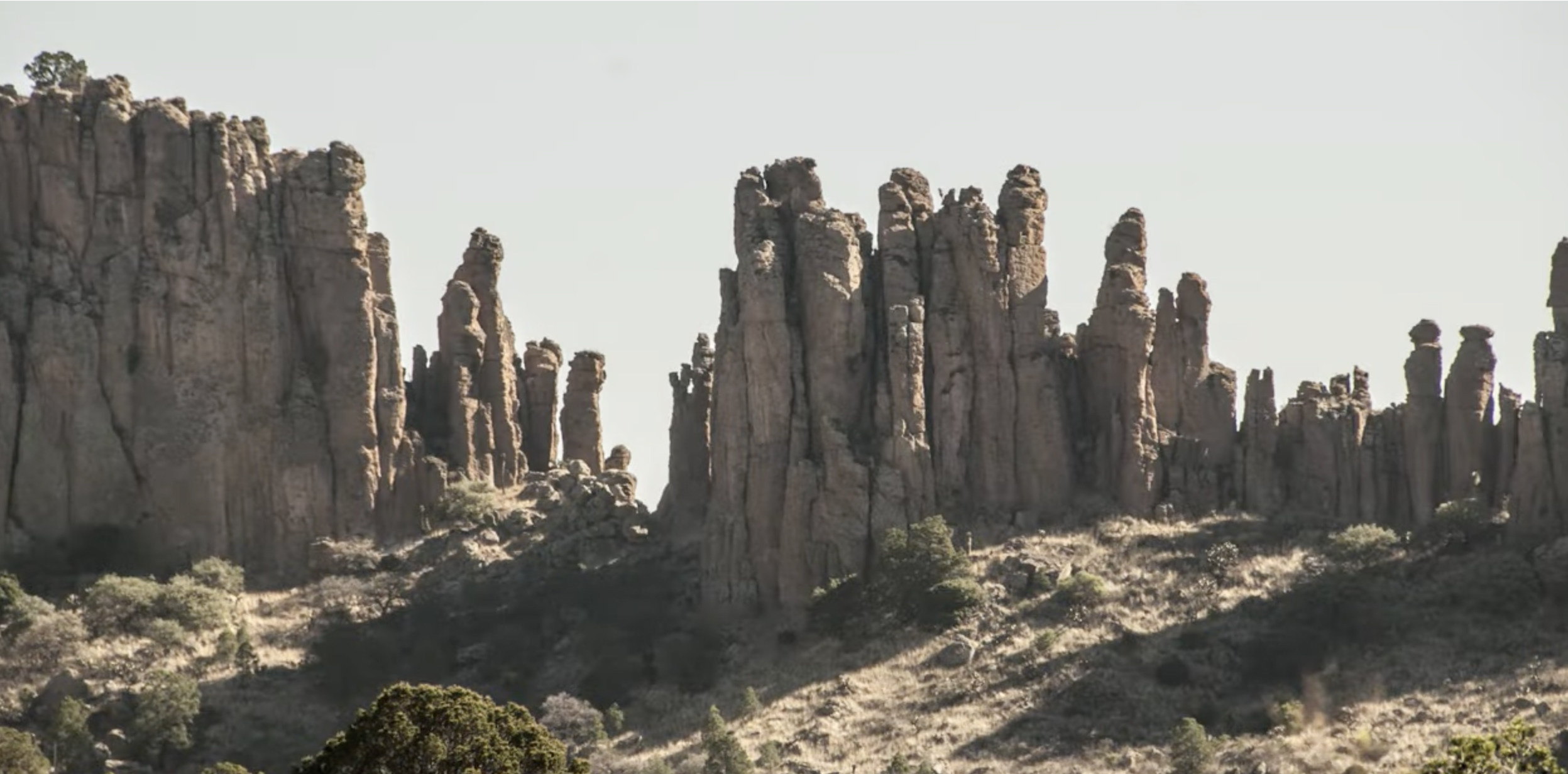 Sierra de Órganos
