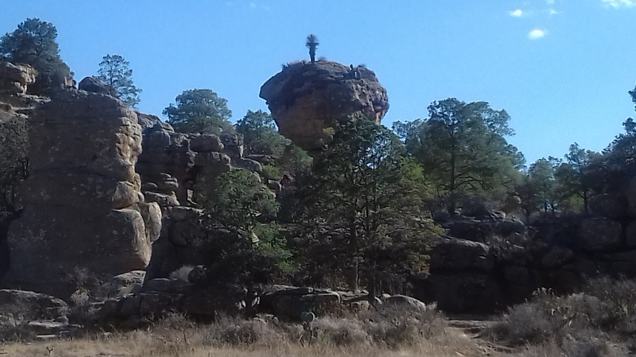 Sierra de Órganos