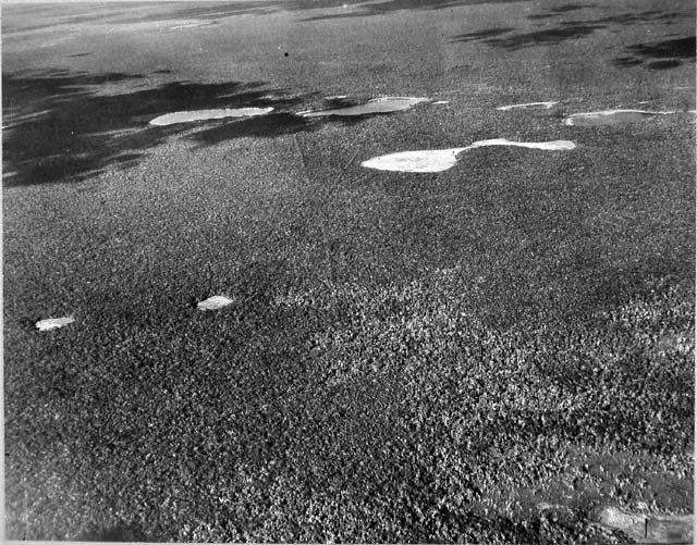 Aerial view of Cobá