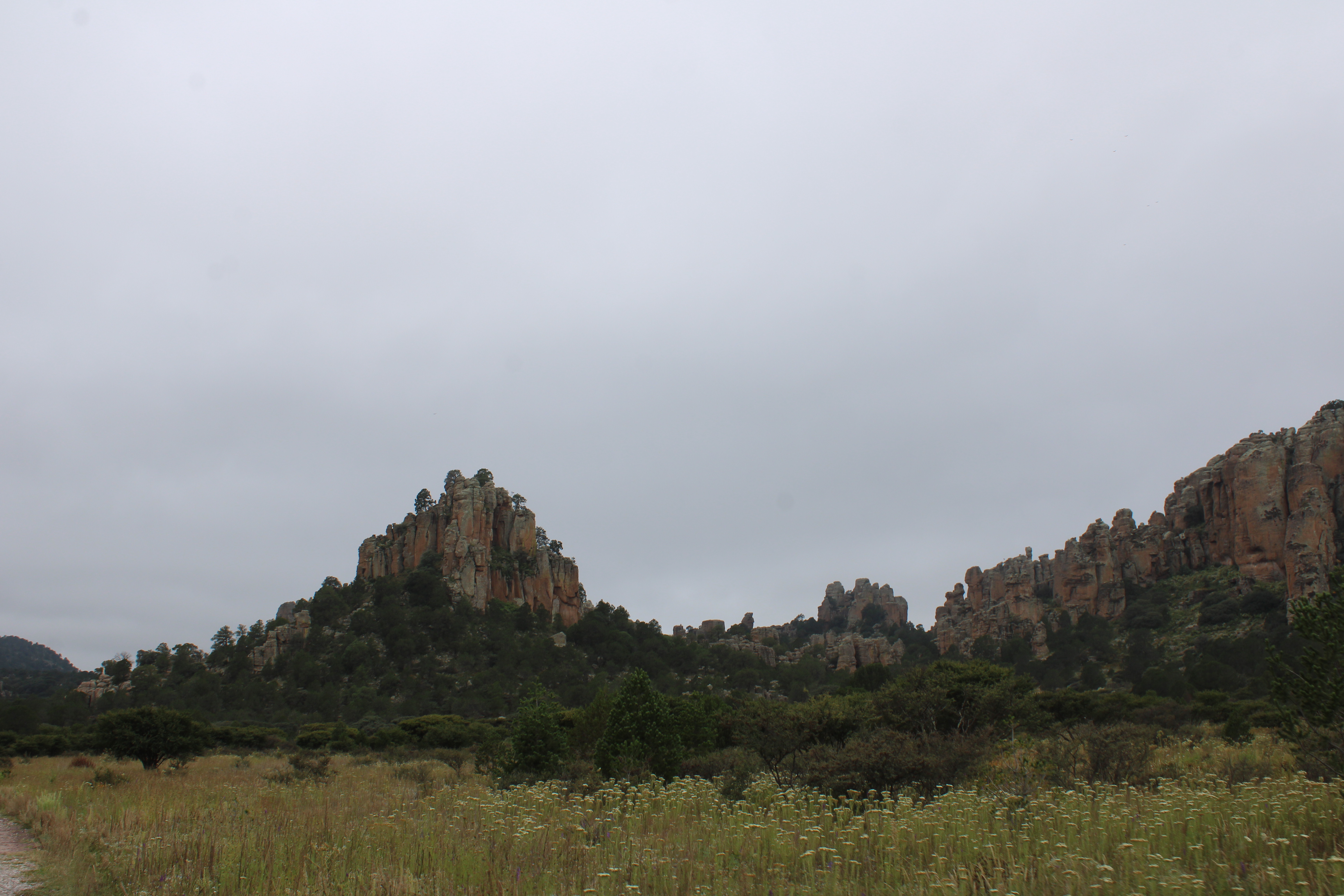 Sierra de Órganos