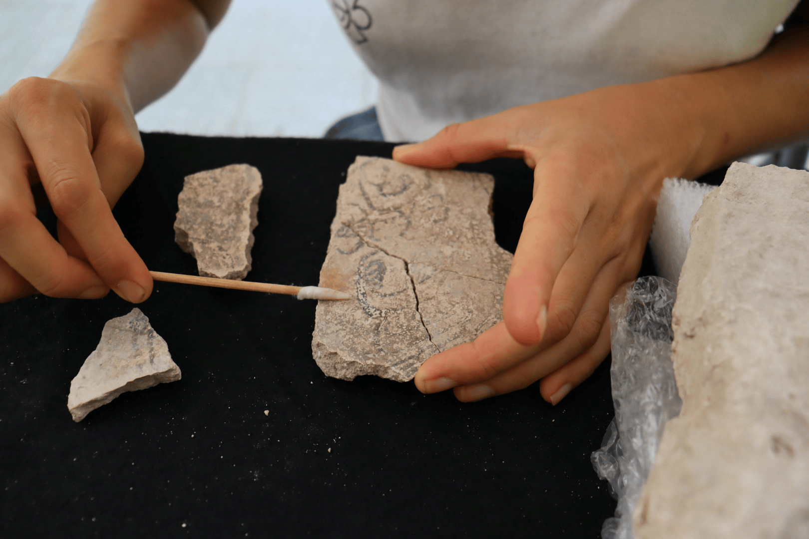 El sistema de documentación del proyecto de conservación
