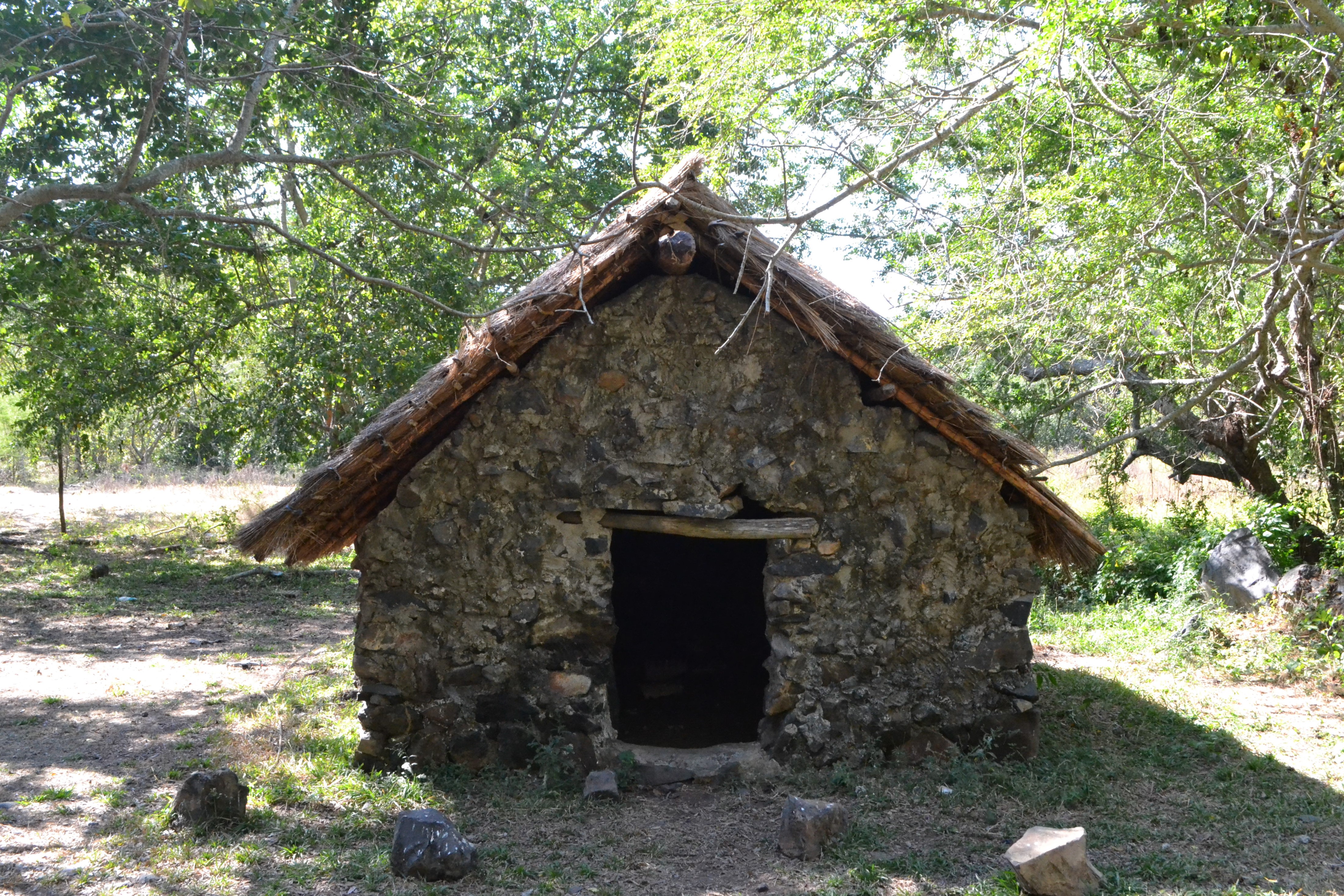Ruta Wixárika