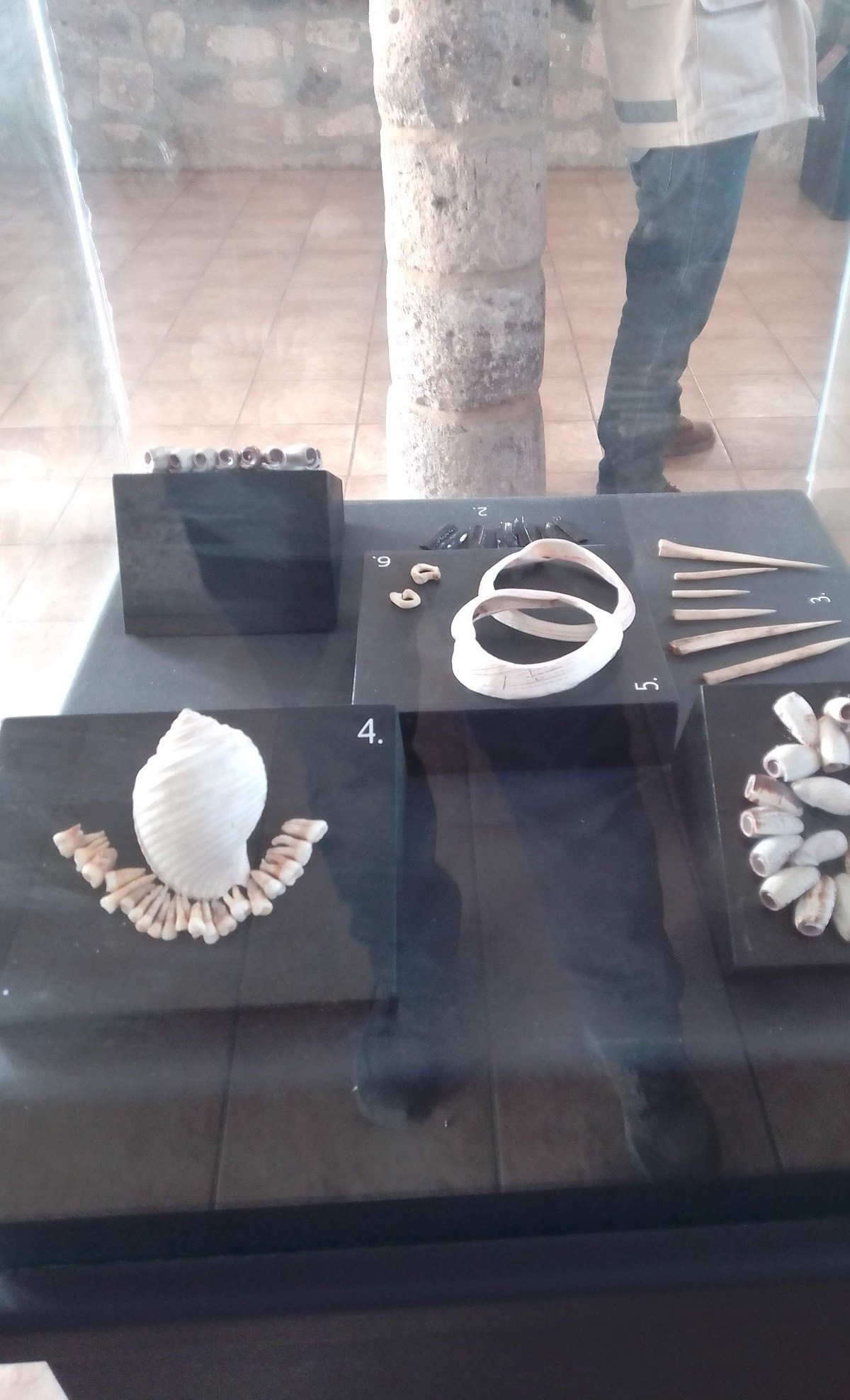 Museo de Sitio de Cuetlajuchitlán