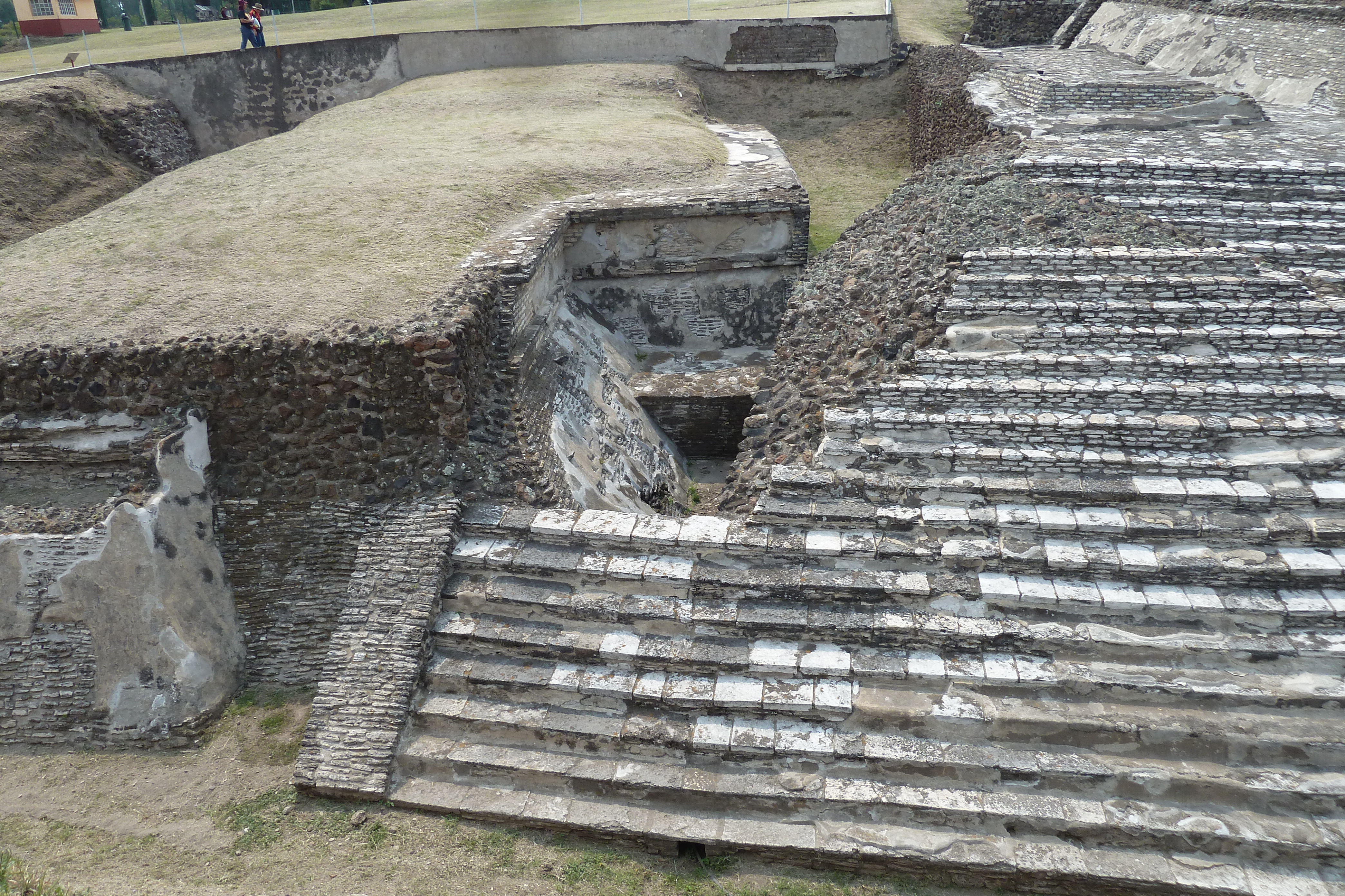 Cholula