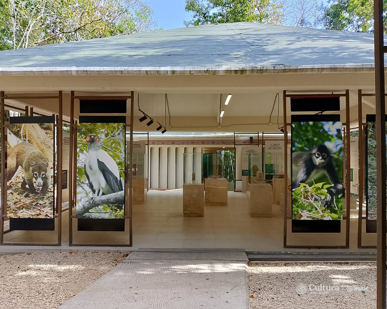 Museo de Sitio de Calakmul