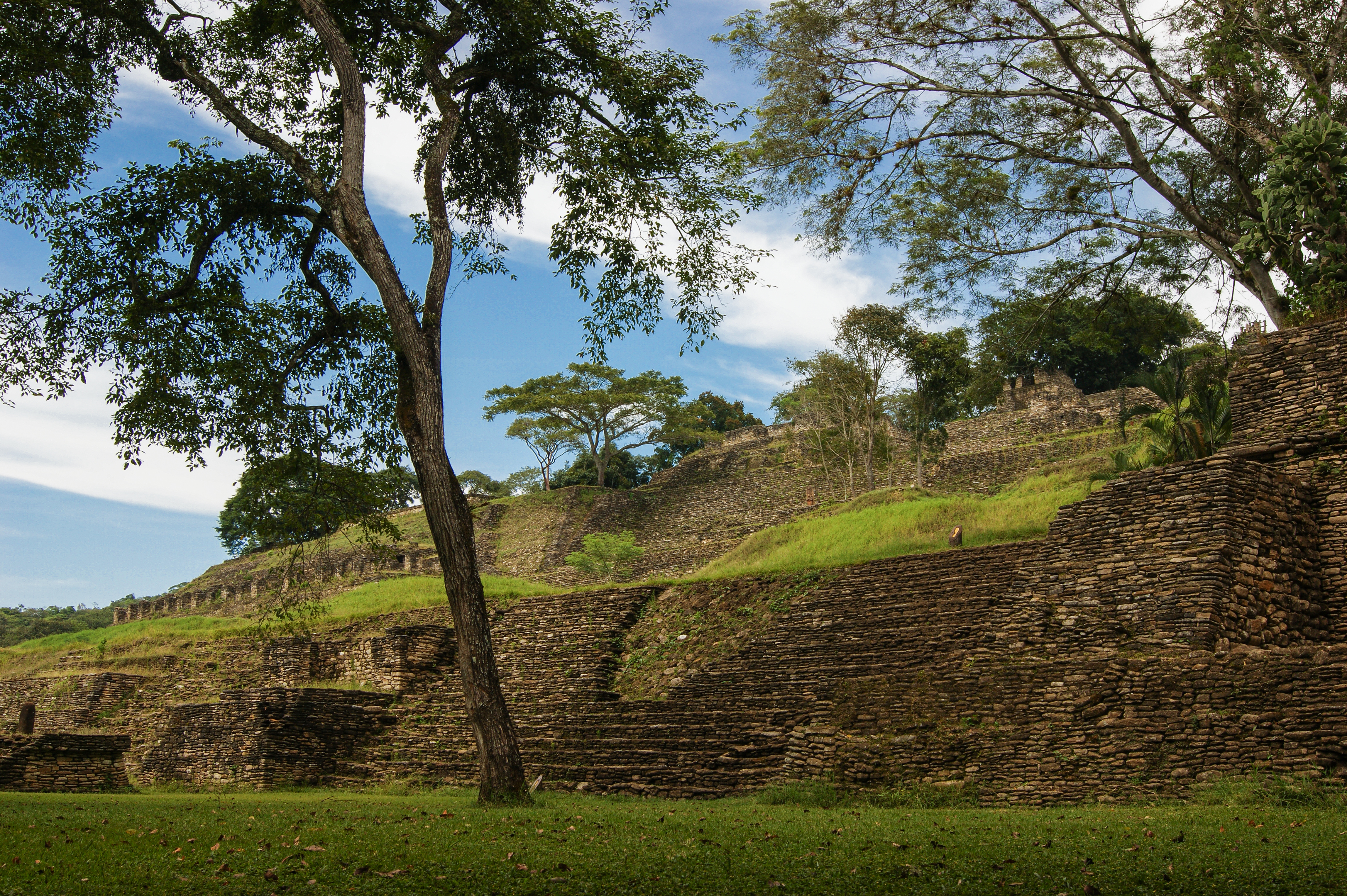 Toniná