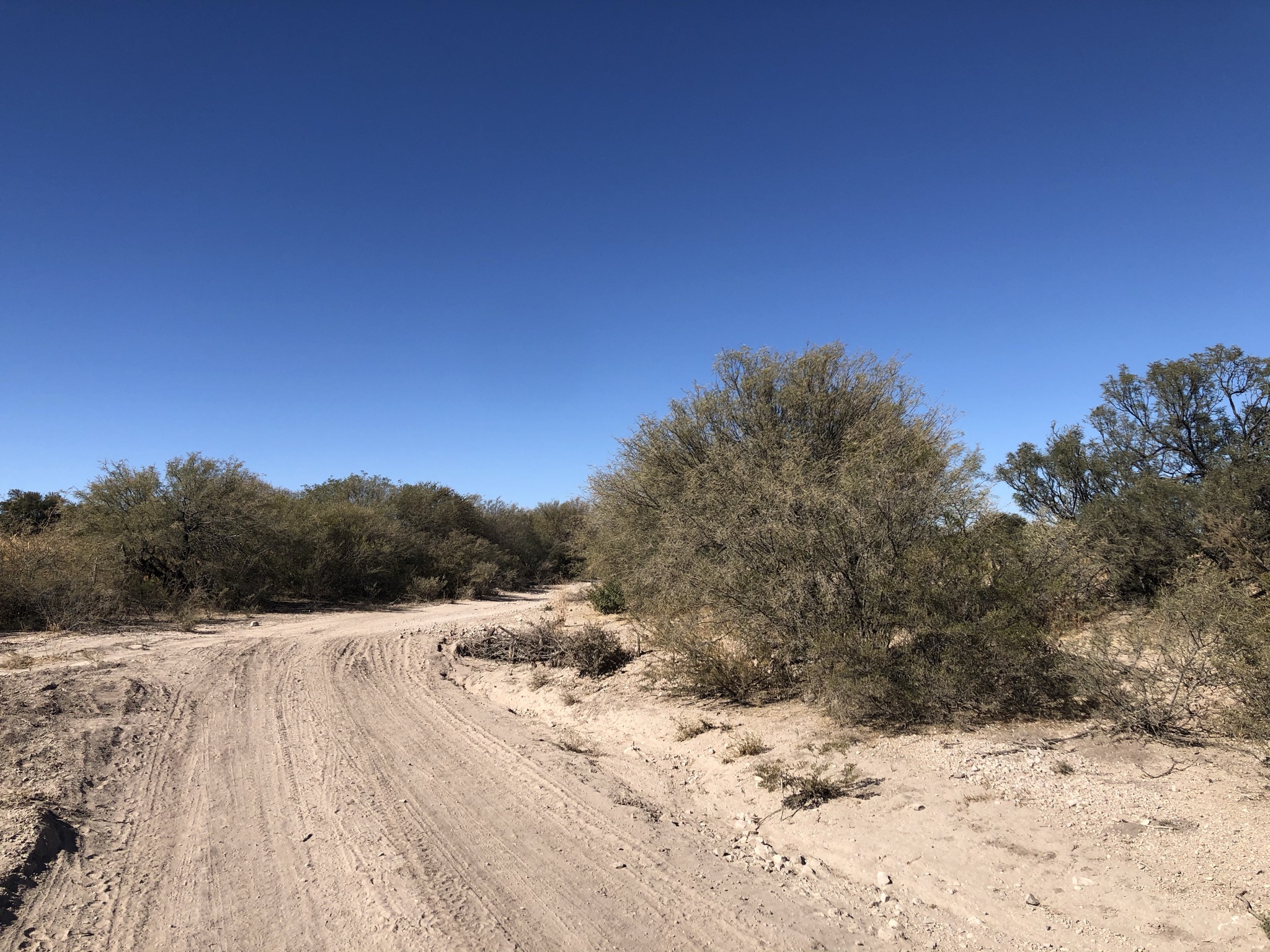Tramo del Camino Real entre Nazas y San Pedro del Gallo