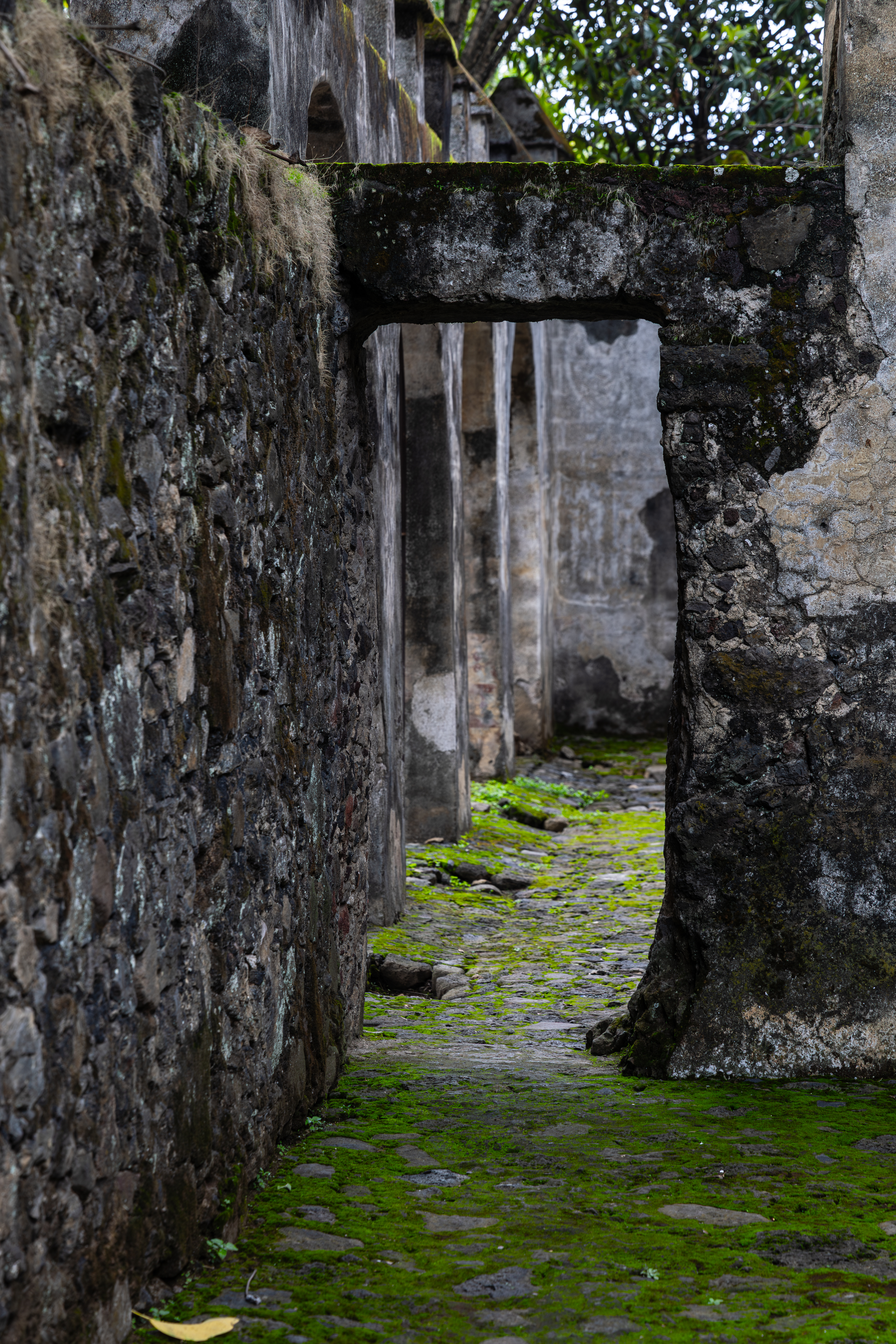Museo y Centro de Documentación, Ex Convento de la Natividad en Tepoztlán
