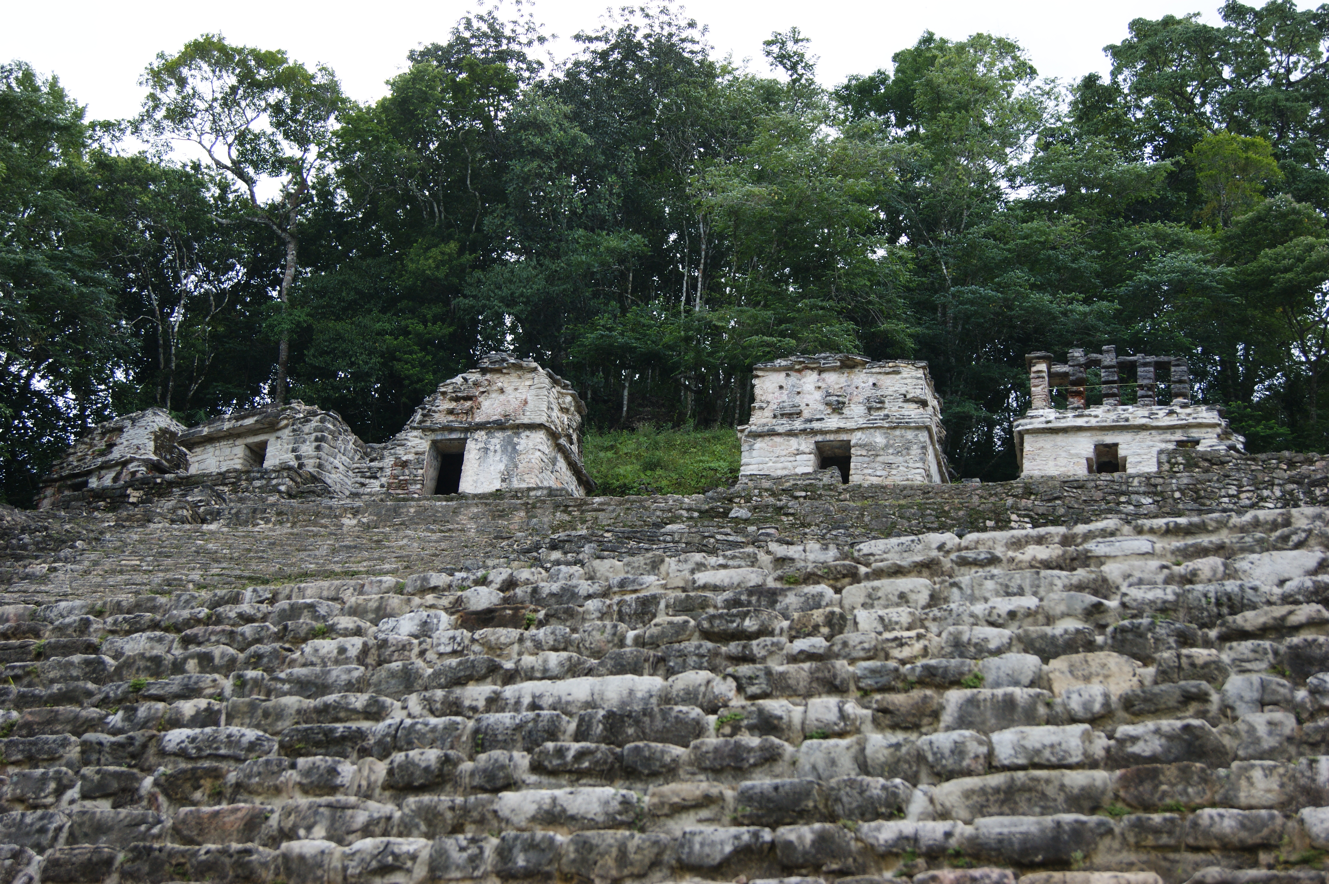 Edificios 4, 5, 6, 7 y 8