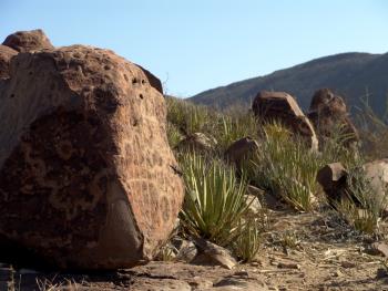 Boca de Potrerillos