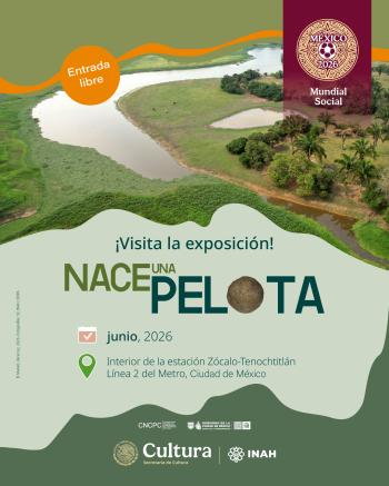 Nace una Pelota